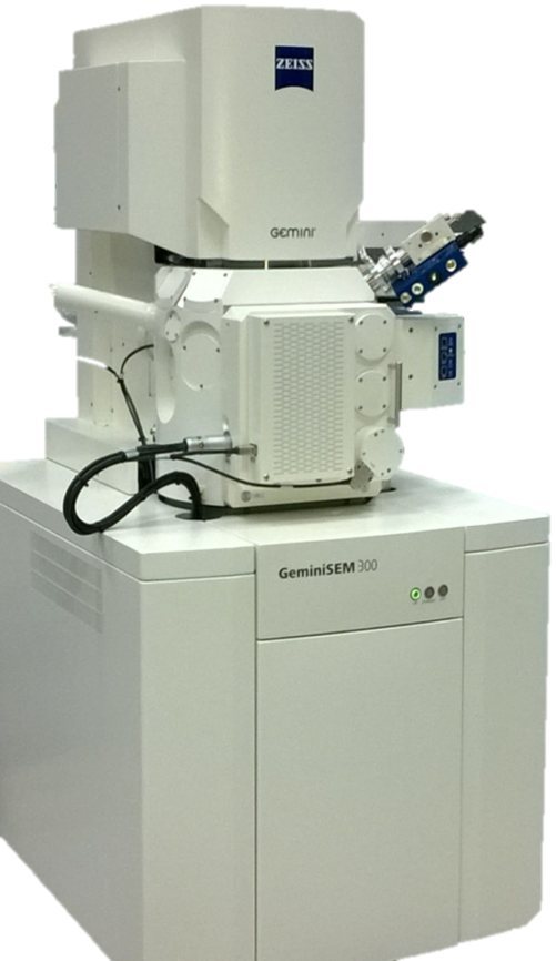 蔡司超高分辨率场发射扫描电镜GeminiSEM 300/VP