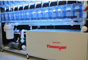 托摩根生物斑马鱼养殖系统TMG2000