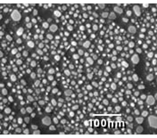 高分辨碳基金测试标样2 617-2F 高分辨碳基金测试标样2，含样品座F