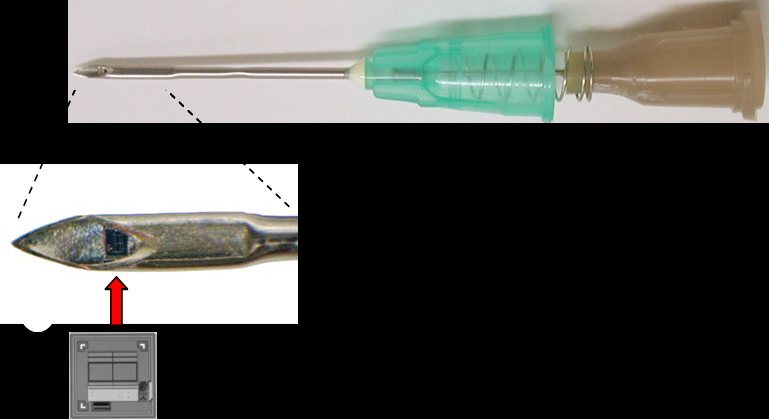 小鼠身份标签识别系统-ID识别-PharmaSeq