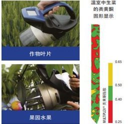 MULTIPLEX RESEARCH便携式紫外-可见光荧光仪