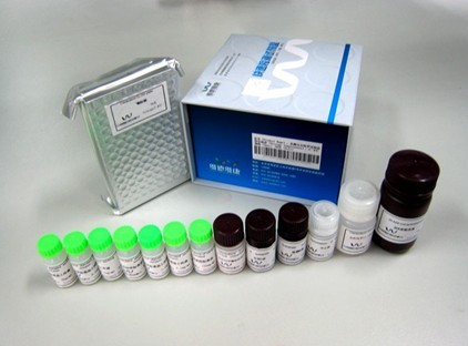 小鼠基质金属蛋白酶3(MMP-3)试剂盒
