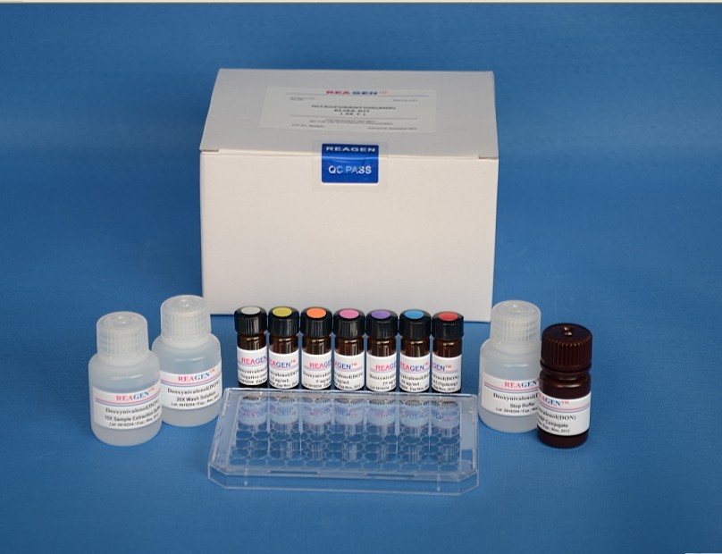 人生长激素释放因子(GH-RF)ELISA试剂盒 