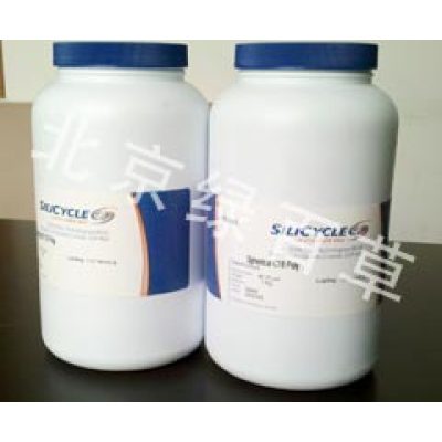 Silicycle 硅胶固相萃取小柱  Silicycle 硅胶固相萃取小柱