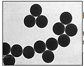放大倍数及分辨率测试标样 610-66 认证的聚苯乙烯乳胶球，350nm
