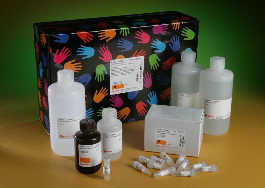 胸腺肽&#946;4(TMS&#946;4)ELISA检测试剂盒