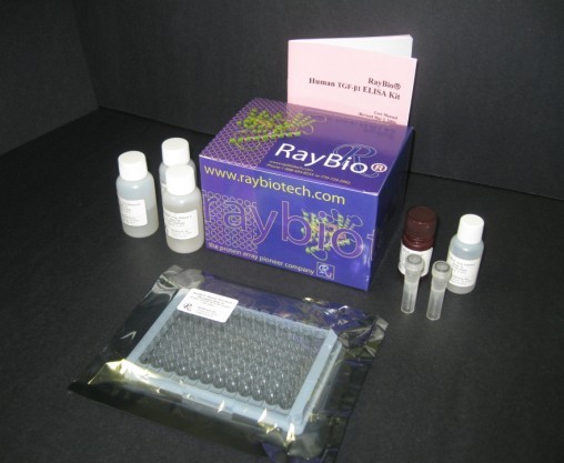 重酒石酸去甲肾上腺素(NEB)ELISA检测试剂盒
