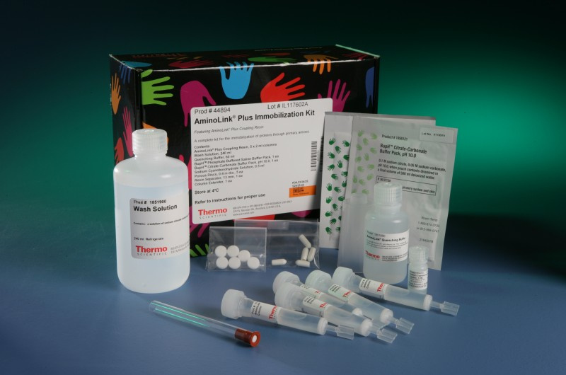 胰高血糖素样肽2(GLP-2)ELISA检测试剂盒