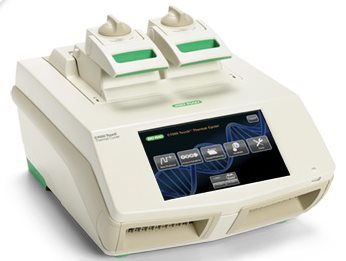 bio-rad C1000 PCR仪