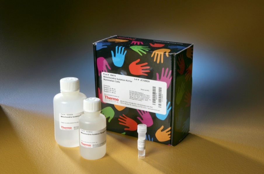 胸腺五肽(TP5)ELISA检测试剂盒