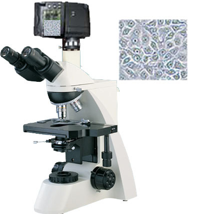XSP-13CD数码生物显微镜