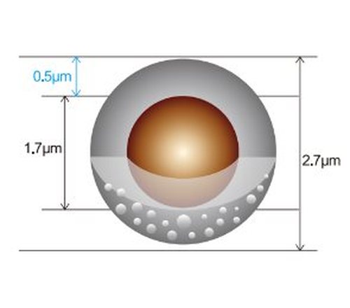 Boltimate HILIC 核壳色谱柱 2.7μm, 3.0×100mm