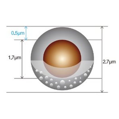 Boltimate EXT-PFP 核壳色谱柱 2.7μm, 4.6×100mm