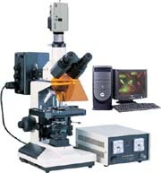  DFM-50C 电脑型正置荧光显微镜 