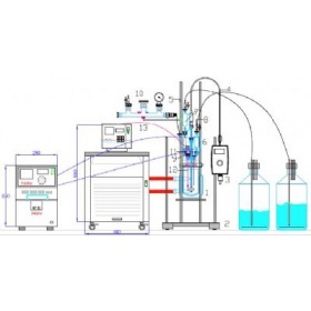 JULABO-ACE 玻璃压力反应釜（悠莱博反应釜系统）
