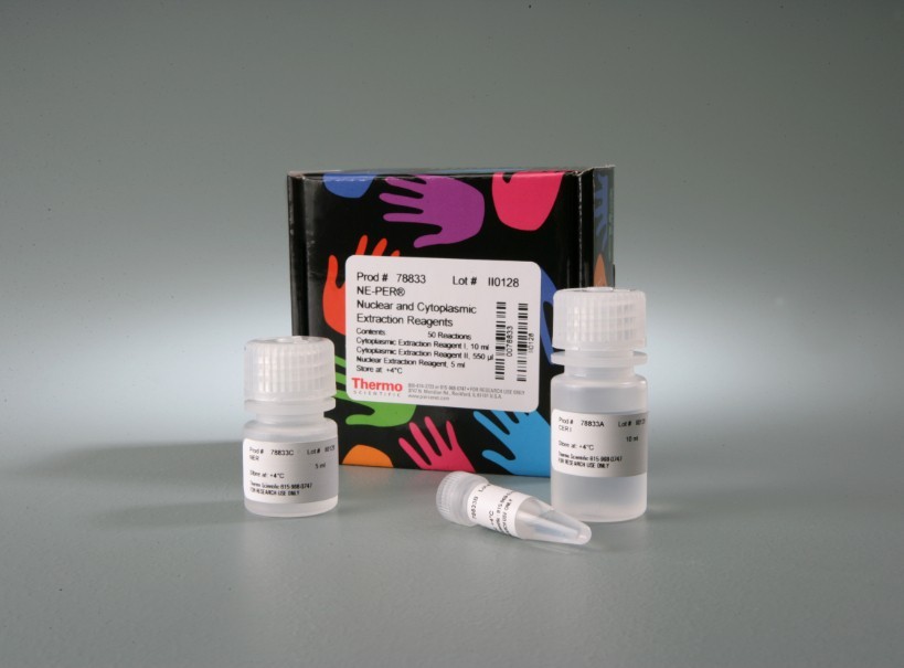 钙周期素结合蛋白(CACYBP)ELISA检测试剂盒