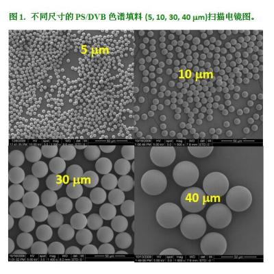 Sunny单分散聚合物色谱填料