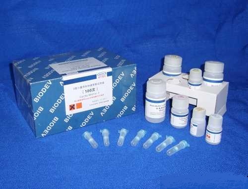 甘氨酸脒基转移酶(GATM)ELISA检测试剂盒
