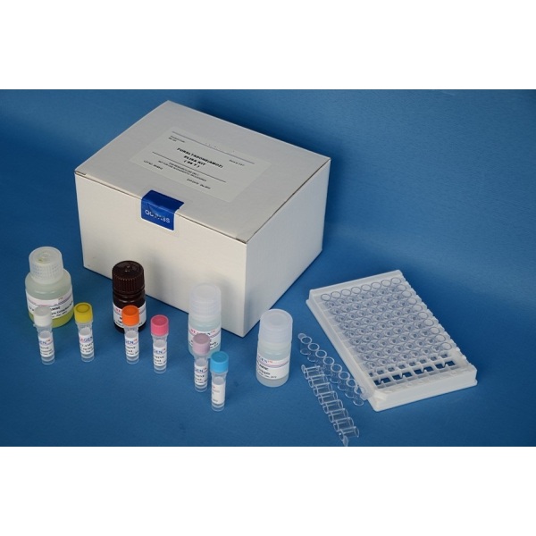 转铁蛋白受体检测试剂盒