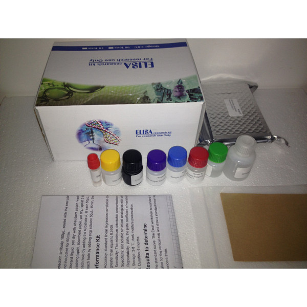 抗钙蛋白酶抑素抗体检测试剂盒