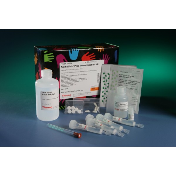 大鼠抗甲状腺过氧化物酶抗体ELISA检测试剂盒
