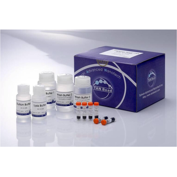 潜伏膜蛋白1抗体检测试剂盒