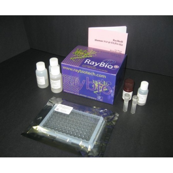 大鼠卵泡抑素ELISA检测试剂盒