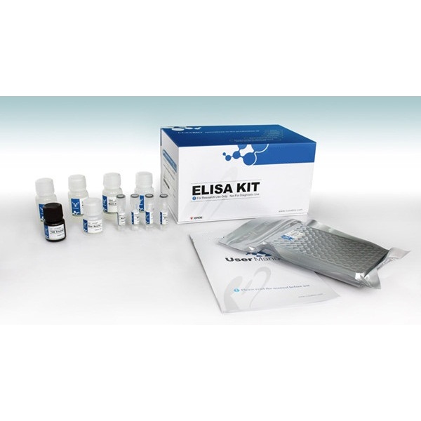 人黏着斑激酶ELISA检测试剂盒