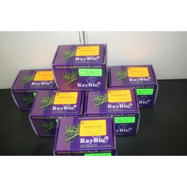 环加氧酶2(COX-2)试剂盒价格