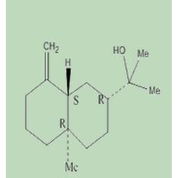 薄荷酮,10458-14-7