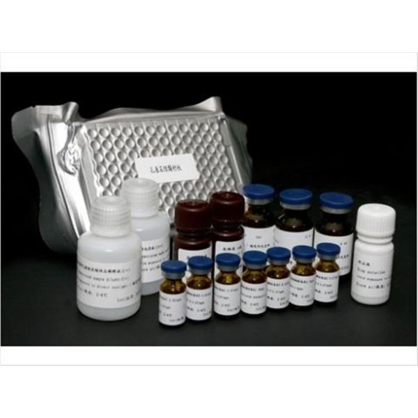 人胆固醇-25-羟化酶检测试剂盒