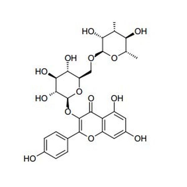 山奈酚-3-o-芸香糖苷,17650-84-9