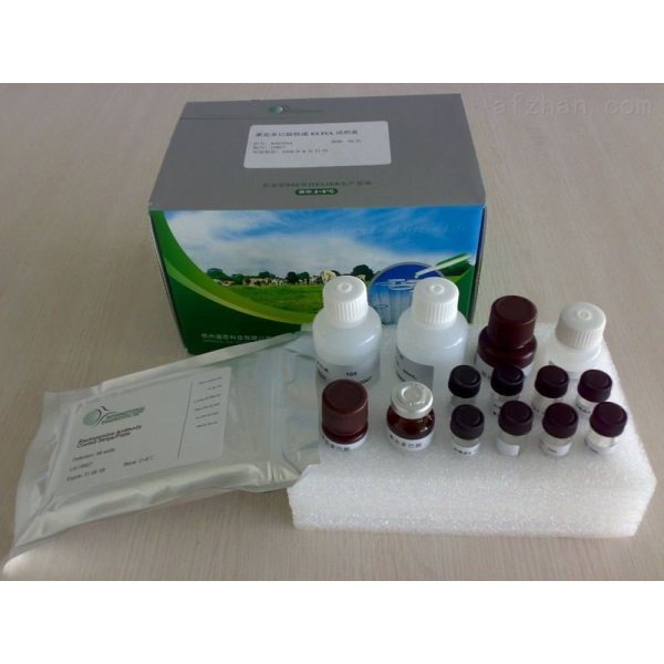 人活性氧物种调节因子1检测试剂盒