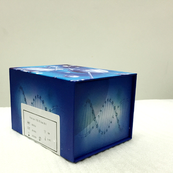 PGD2 &#34;前列腺素D2(PGD2)ELISA Kit