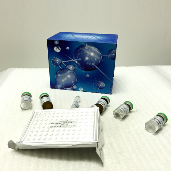 ARG	精氨酸(Arginine)ELISA Kit	