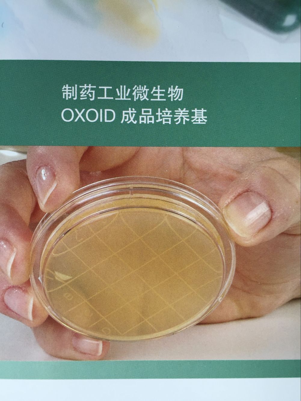 oxoid成品培养基制药行业微生物常用辐照平板