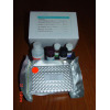 EMMPRIN检测试剂盒