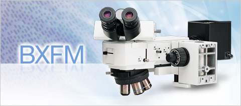 OLYMPUS小型系统显微镜BXFM