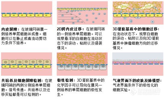 “ibidi细胞侵袭带膜通道载玻片”入围具有国际威望的2016德国工业行业奖