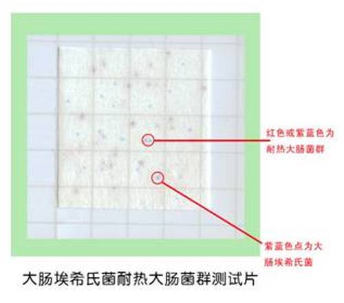 大肠埃希氏菌和耐热大肠菌群测试片