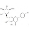 Ginsenoside-Rb1/人参皂苷Rb1_41753-43-9_分离纯化_研发定制