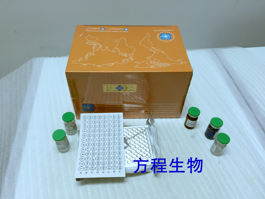 TCF21	人转录因子21(TCF-21)ELISA Kit 	