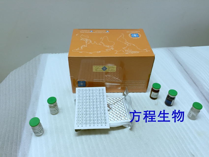 DHT	双氢睾酮(Dihydrotestosterone)ELISA Kit