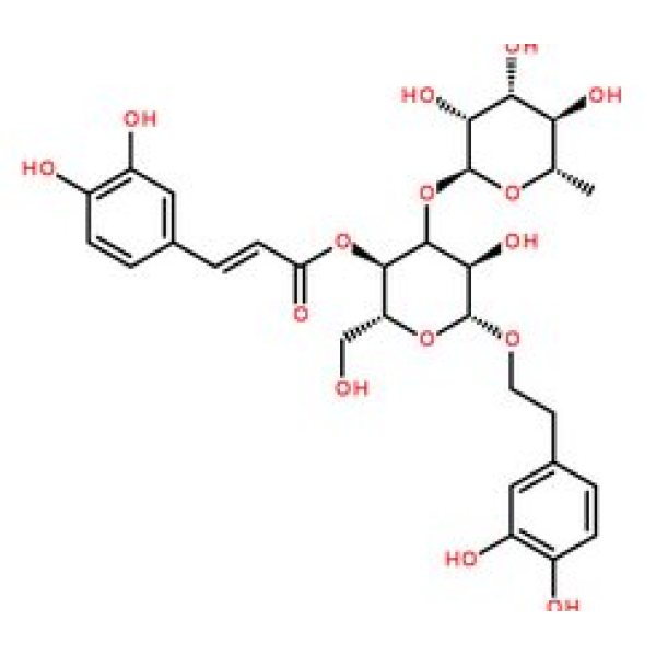 毛蕊花糖苷，61276-17-3