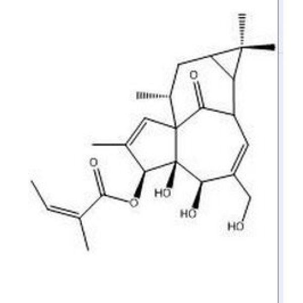 巨大戟醇-3-O-当归酸酯,75567-37-2 