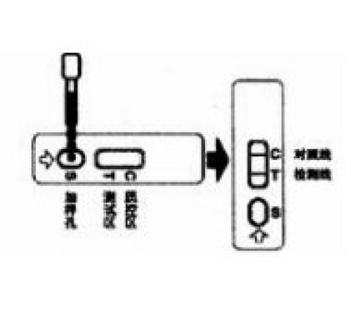 三聚氰胺速测卡