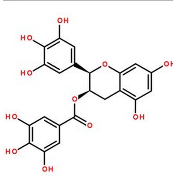 -)-表没食子儿茶素没食子酸酯,989-51-5