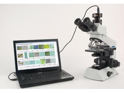 AlgaeC智能鉴定计数仪浮游动物鉴定计数模块