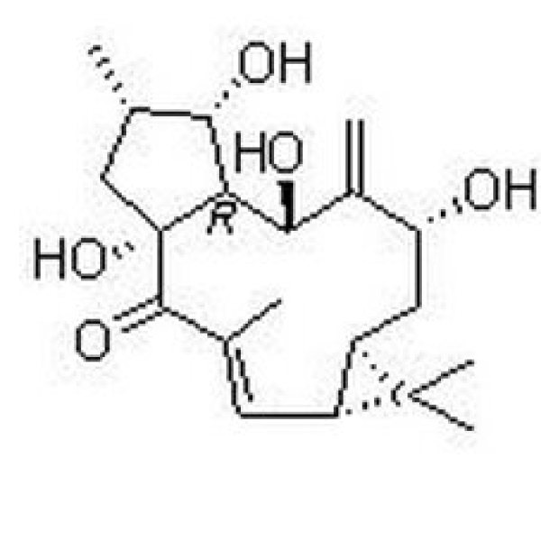 7-羟基千金子二萜醇，34208-98-5
