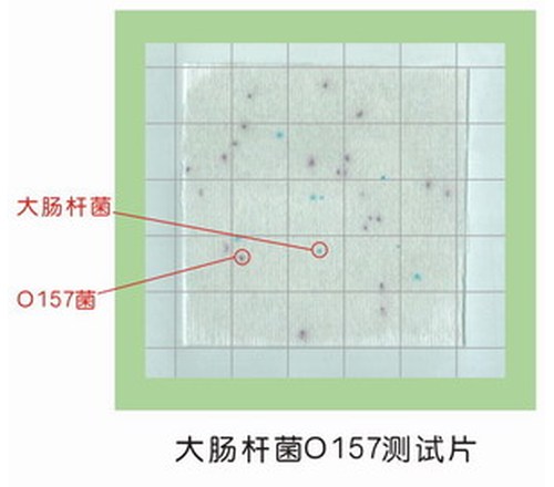 大肠杆菌O157测试片